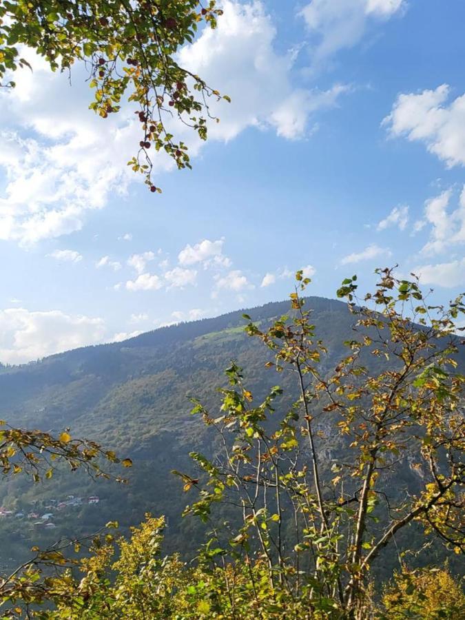 Akarsu Butik Otel Akarsu (Trabzon) Exterior foto